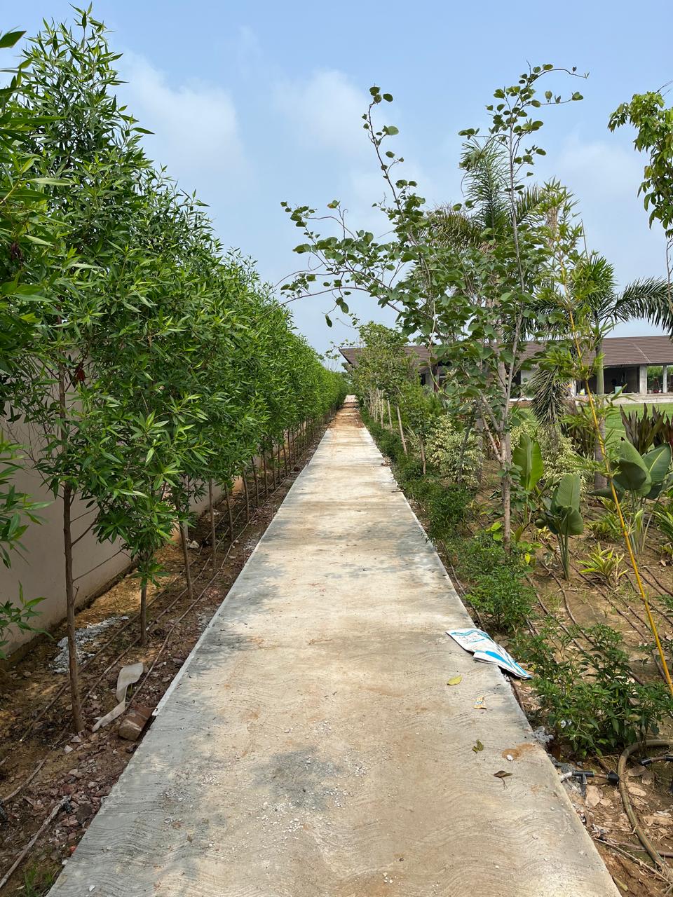 Why Choose Total Green Solutions – Landscape Contractor in MP