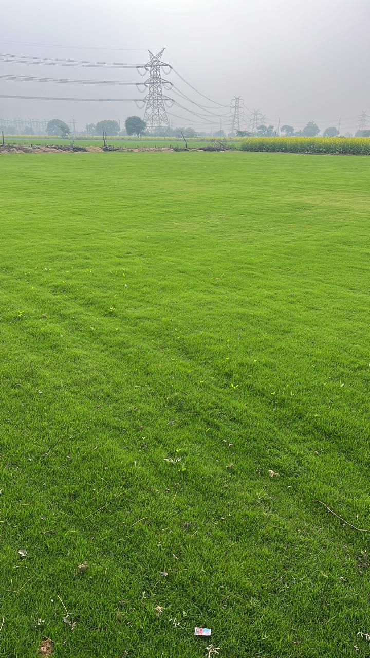Landscape Contracting Process and Delivery in MP